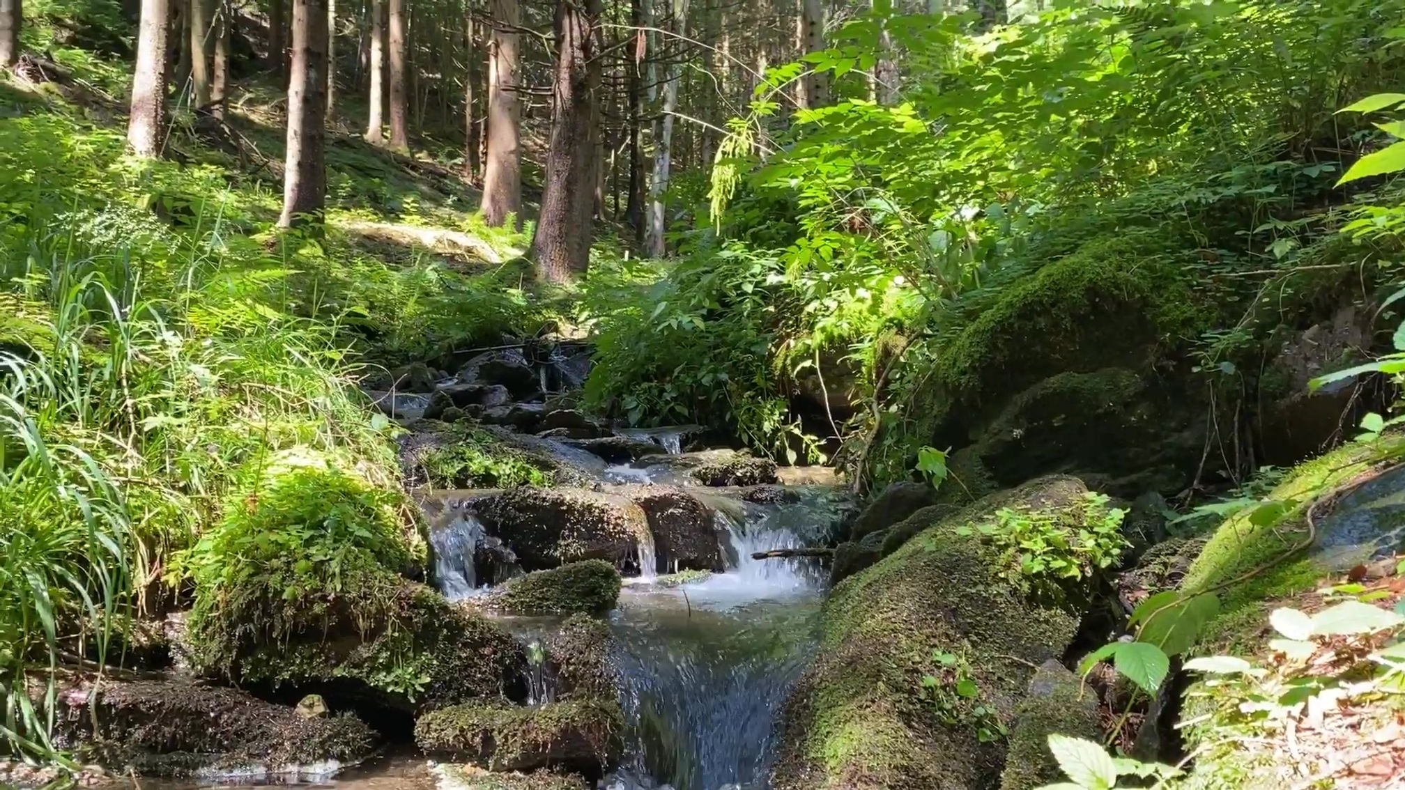 Naturgenuss bei Hamari
